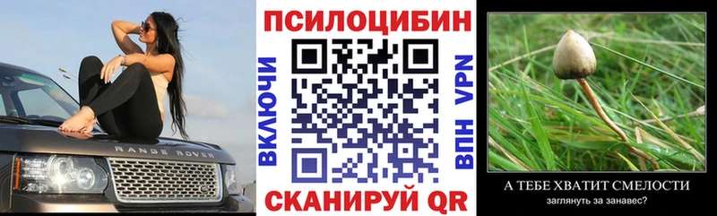 Псилоцибиновые грибы GOLDEN TEACHER  цены   Аркадак 